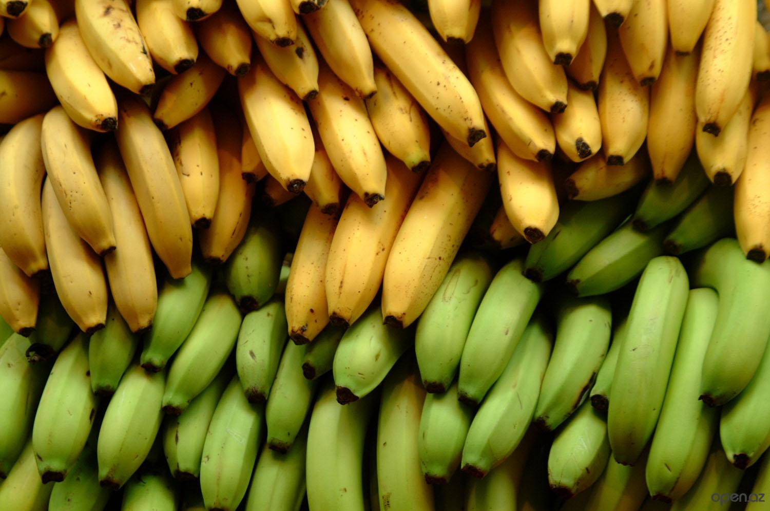 Цветы и клумбы: Банановые шкурки для удобрения цветов