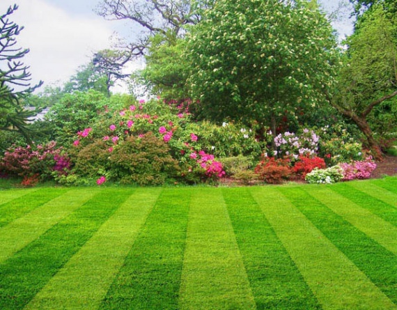 Ландшафтный дизайн: Как сделать газон своими руками на вашей любимой даче