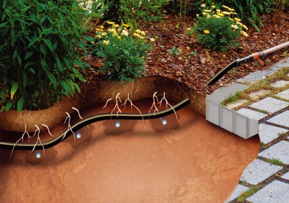 Ландшафтный дизайн: Способы полива газона