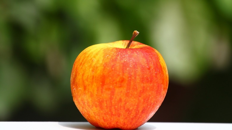 Сад: Популярные сорта яблонь и особенности их выращивания