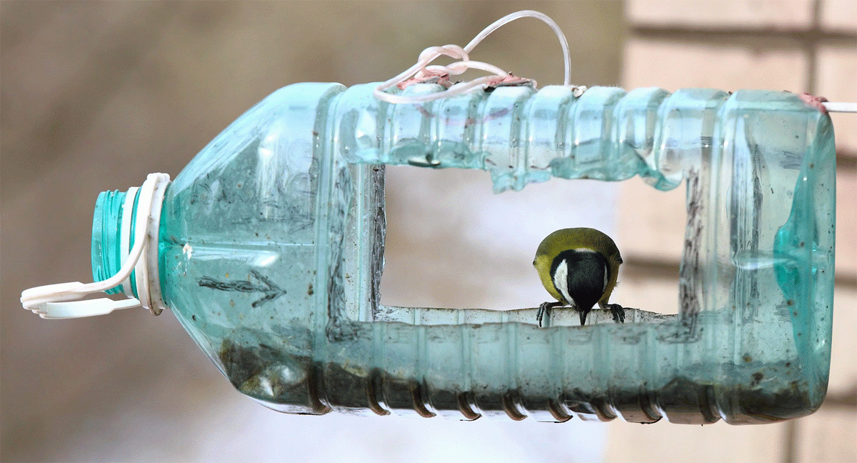 Обустройство: Кормушка для птиц из 5 литровой бутылки