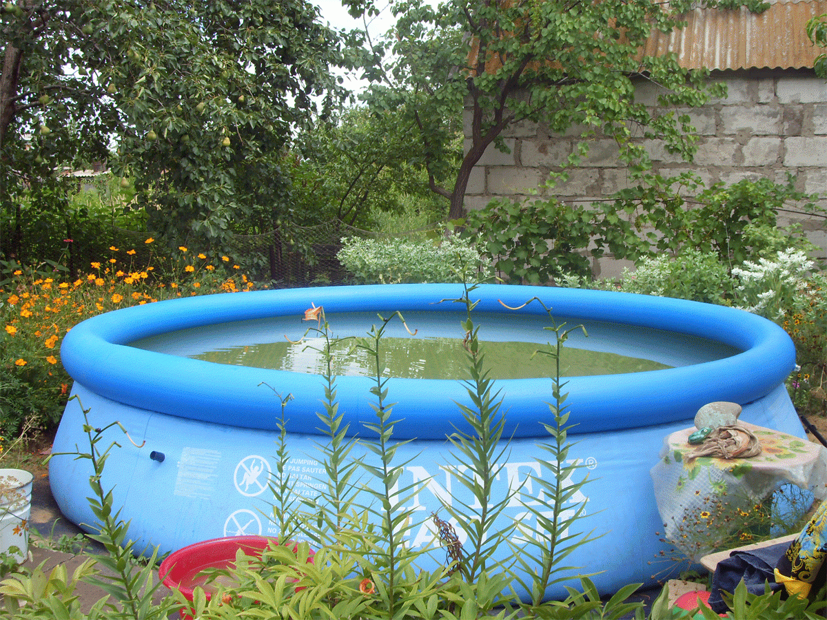 Обустройство: Надувной бассейн для дачи