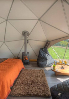 Почему желтеет чеснок и как с этим бороться?