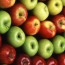 Популярные сорта яблонь и особенности их выращивания