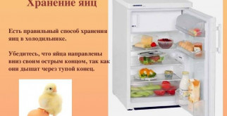 Как прорастить семена арбуза: шаг за шагом к сладкому урожаю