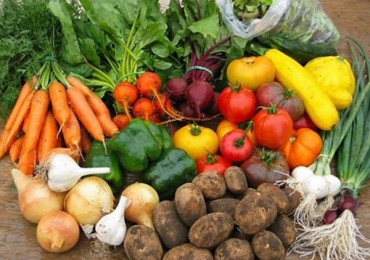 Как продавать овощи и фрукты с дачи: правила и советы для дачников