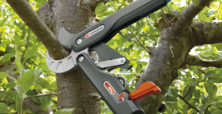 Какие бывают секаторы?