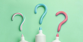 Секреты пересадки смородины: когда и как это сделать правильно