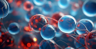 Пептиды Хавинсона и их роль в организме человека