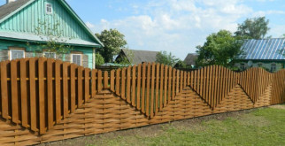 Гортензия: Искусство Ухода за Прекрасным Цветком