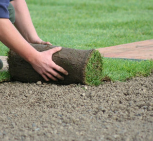 Укладка рулонного газона своими руками