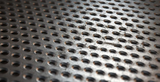 Лучшие сорта свеклы: что выбрать для вашего огорода?