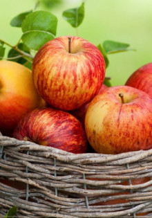 Как правильно сформировать яблоню