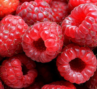 Малина на даче: посадка и уход