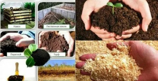 Какие удобрения нужны для растений и почвы?