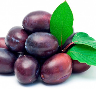 Как размножить сливу