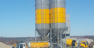 Пион узколистный: Жемчужина вашего сада