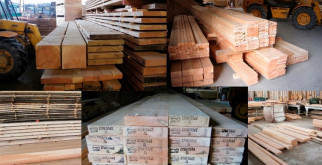 Бордосская жидкость: Полное руководство по применению и эффективности