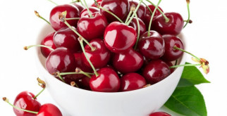 Как вырастить вишню