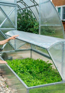 Какой парник выбрать для дачи?