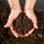 Чернозём: как купить и использовать его для улучшения почвы