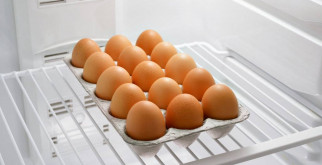 Гвоздики: Очарование и Уход за Цветами, Которые Вдохновляют