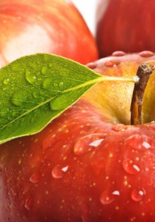 Как вырастить яблоню дома