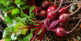 Как выбрать видеоглазок на входную дверь: полное руководство для современных хозяев