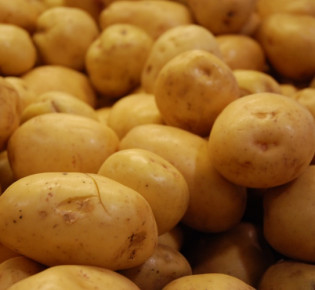 Как вырастить хороший урожай картофеля