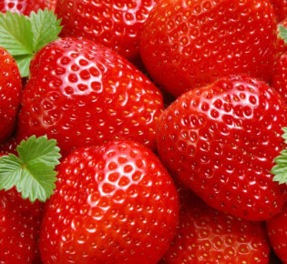 Сорта клубники – фото с описанием