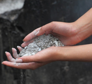 Чем и как подкармливать сливу