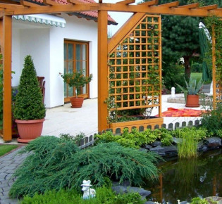 Как сделать шпалеру для винограда своими руками