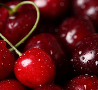 Как ухаживать за вишней