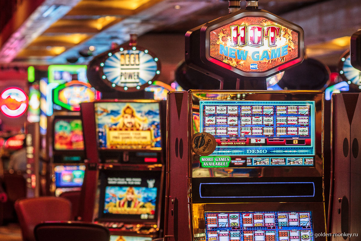 В какие игровые автоматы можно играть новичку в онлайн казино?