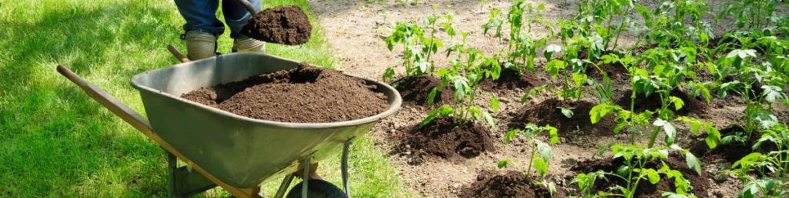 Плодородный грунт для вашего огорода и сада