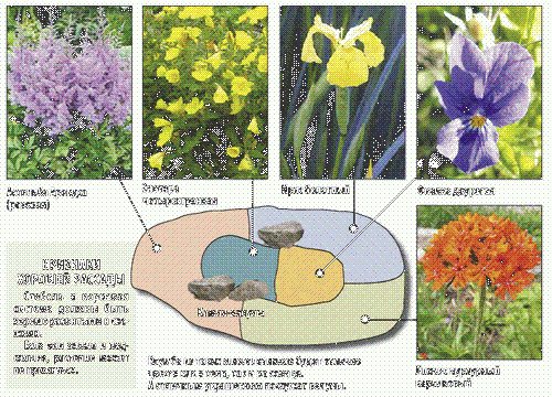 Цветы и клумбы: Как сделать оригинальную клумбу для цветов на даче своими руками