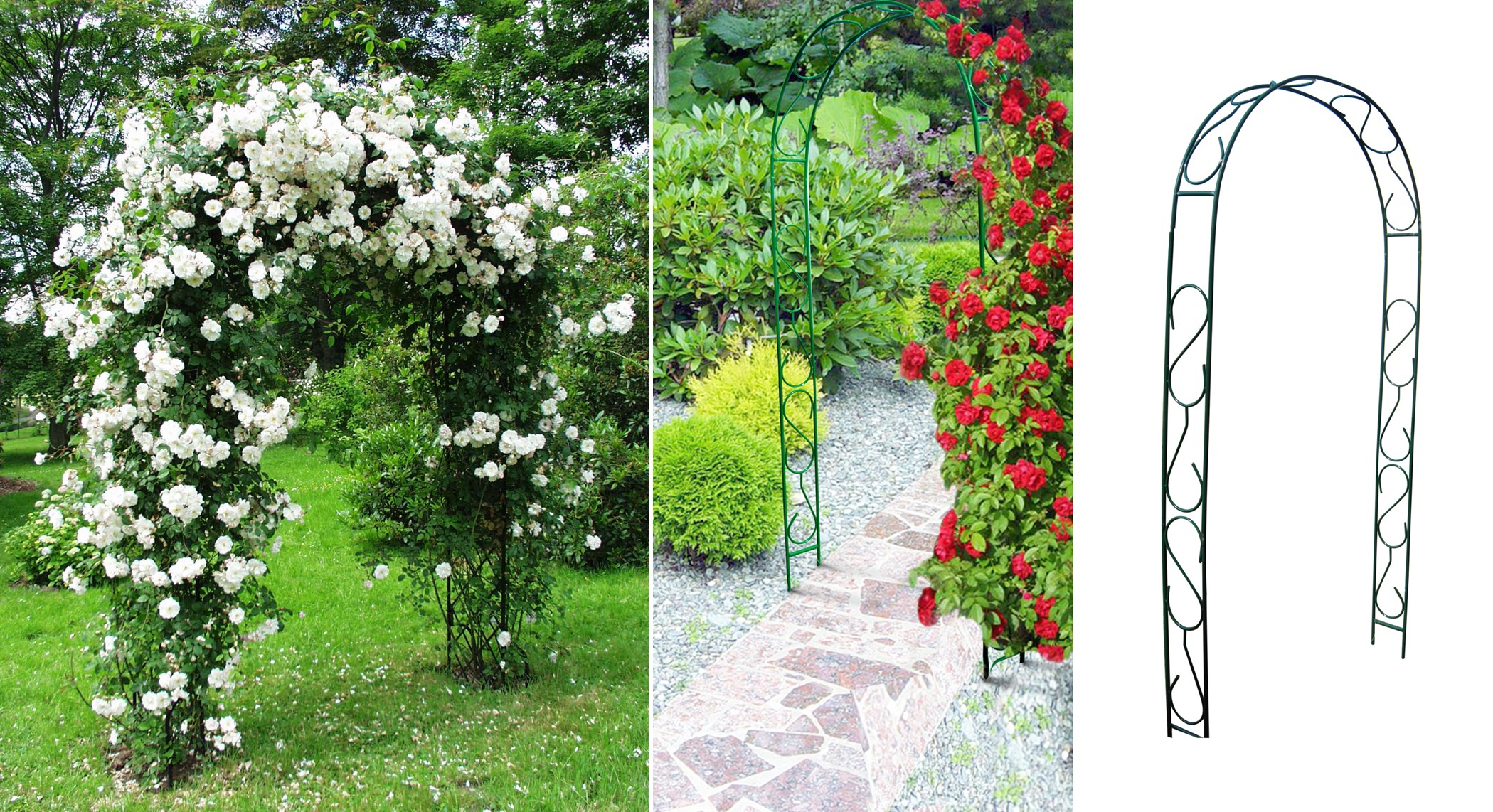 Цветы и клумбы: Как украсить дачный участок цветами - фото с описанием