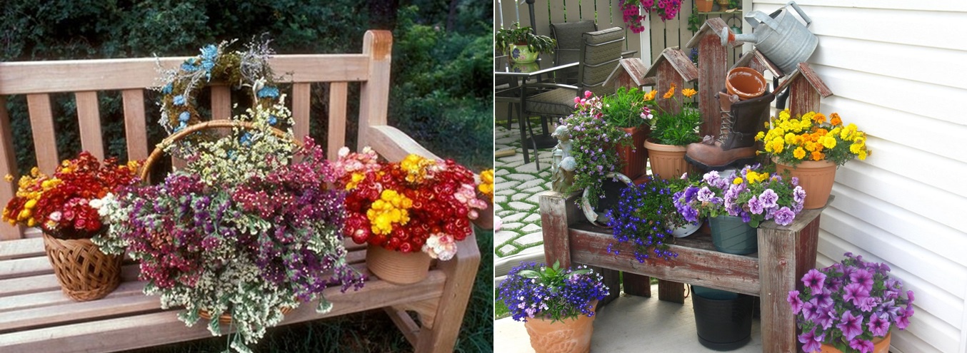 Цветы и клумбы: Как украсить дачный участок цветами - фото с описанием