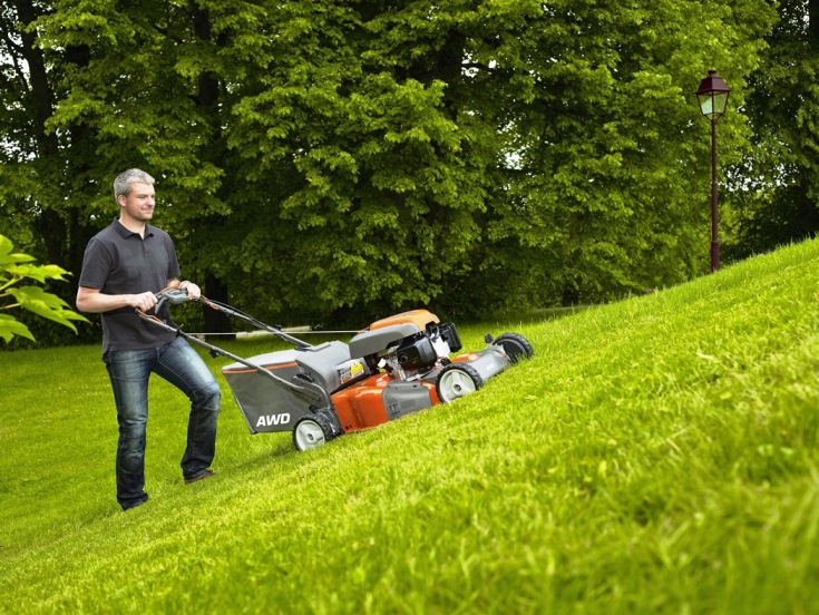 Ландшафтный дизайн: Как сделать газон своими руками на вашей любимой даче
