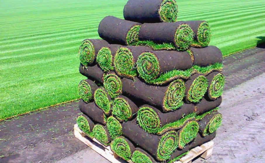 Ландшафтный дизайн: Укладка рулонного газона своими руками