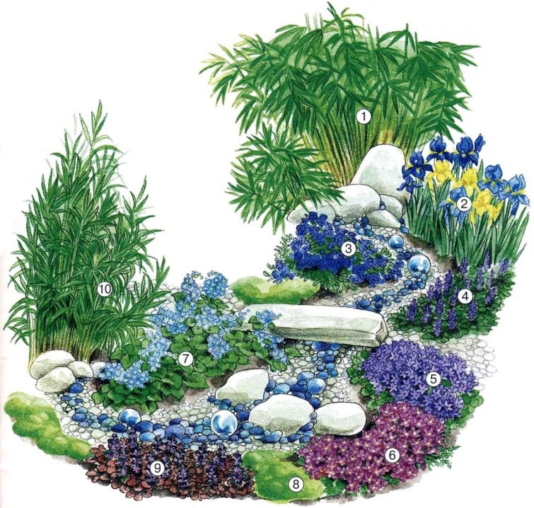 Цветы и клумбы: Схема посадки цветов