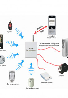 Флоксы шиловидные: красота и забота о многолетниках