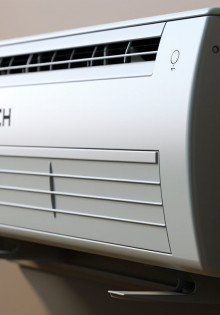 Томаты: от семени до сочного плода — путь к идеальному урожаю