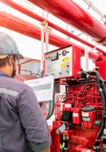 Эффективные средства от тли: спасаем растения и сохраняем урожай