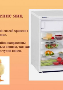 Как прорастить семена арбуза: шаг за шагом к сладкому урожаю