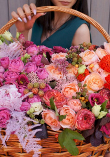 Алиссум: как вырастить это чудесное растение и создать цветущий уголок