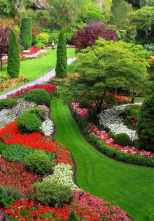 Лучшие растения для создания великолепного сада