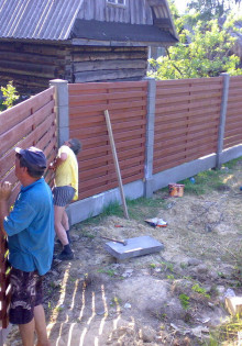 Выращивание помидоров: от семечки до урожая! Ваш идеальный гид для начинающих