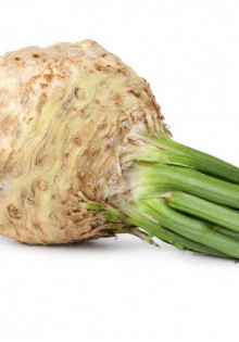 Микориза: тайный союз растений и грибов, который меняет мир природы