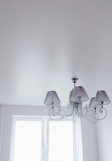 Торф и чернозем: в чем разница и почему это важно?